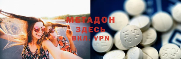 прущие грибы Волосово