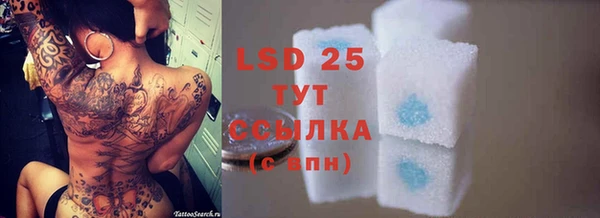сатива Володарск