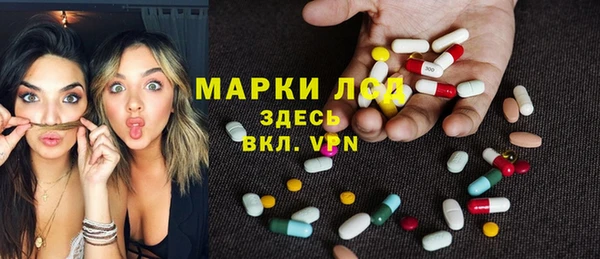сатива Володарск