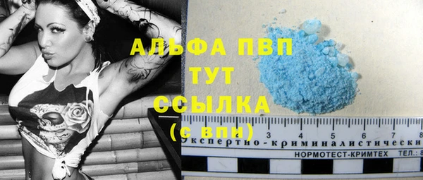прущие грибы Волосово