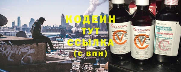 прущие грибы Волосово