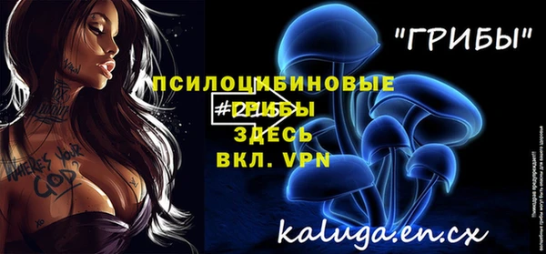 прущие грибы Волосово