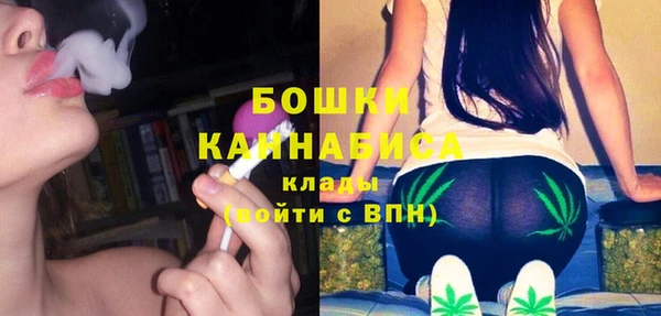 прущие грибы Волосово